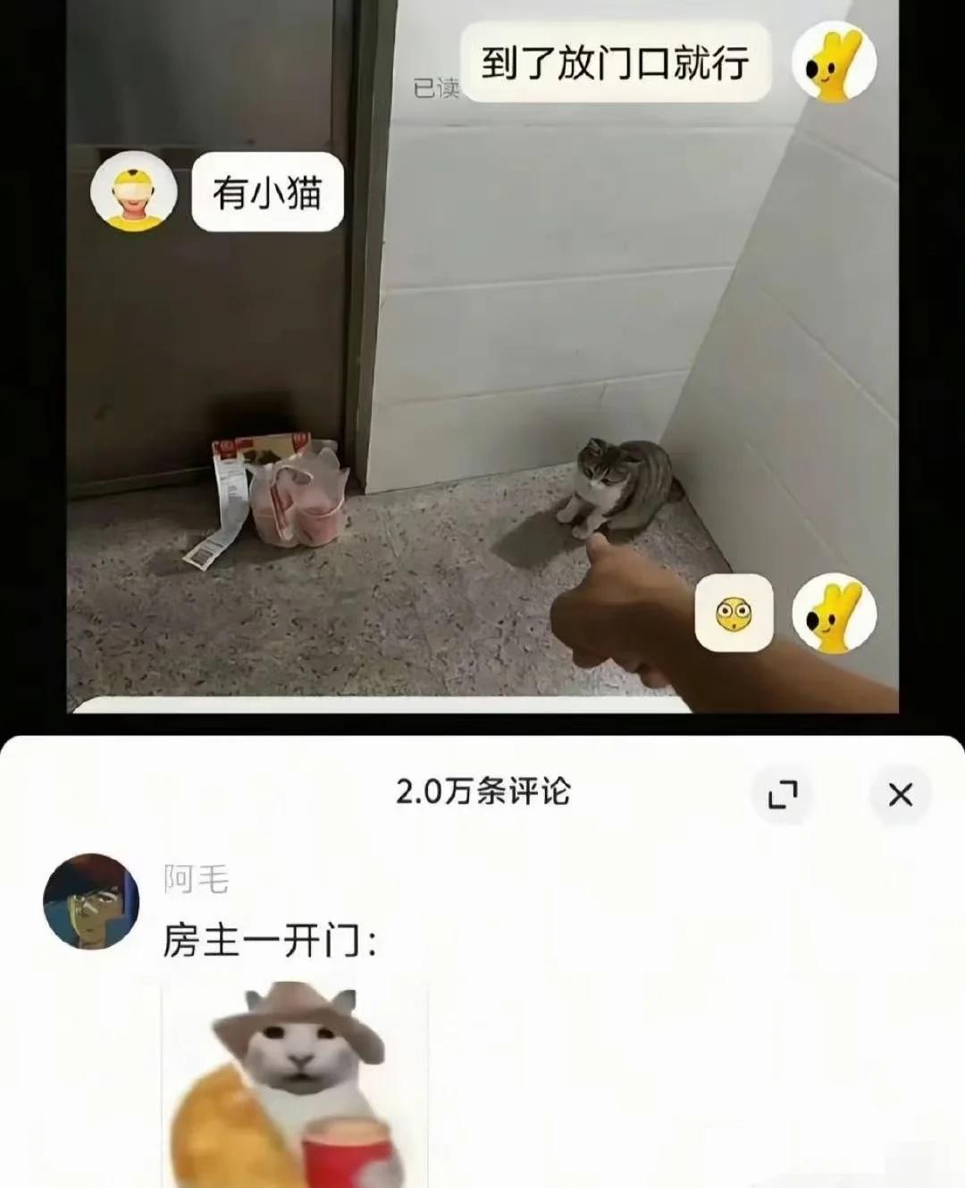 今日份meme
搞笑 梗图 搞笑幽默 搞笑段子 此图有梗 mbti梗图 离谱但合