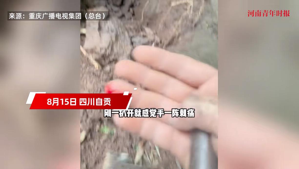 悲剧还是发生了！8月15日，四川自贡，一男子到竹林里采摘蘑菇时，刚一伸手准备掏开