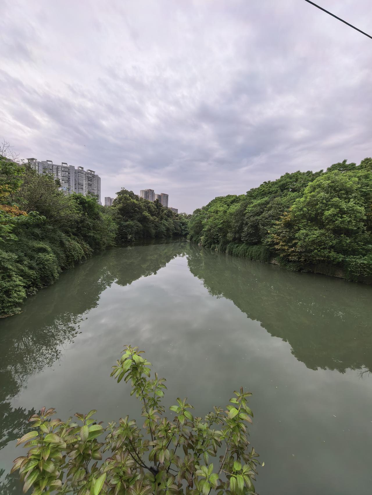 多氟多A股今日走势情况及展望

一、行情概览

多氟多A股今日（5月22日）延续