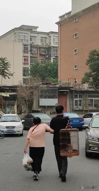 60岁老人每天走一万步，得具体情况具体分析。有研究说60 - 70岁老人，每天7