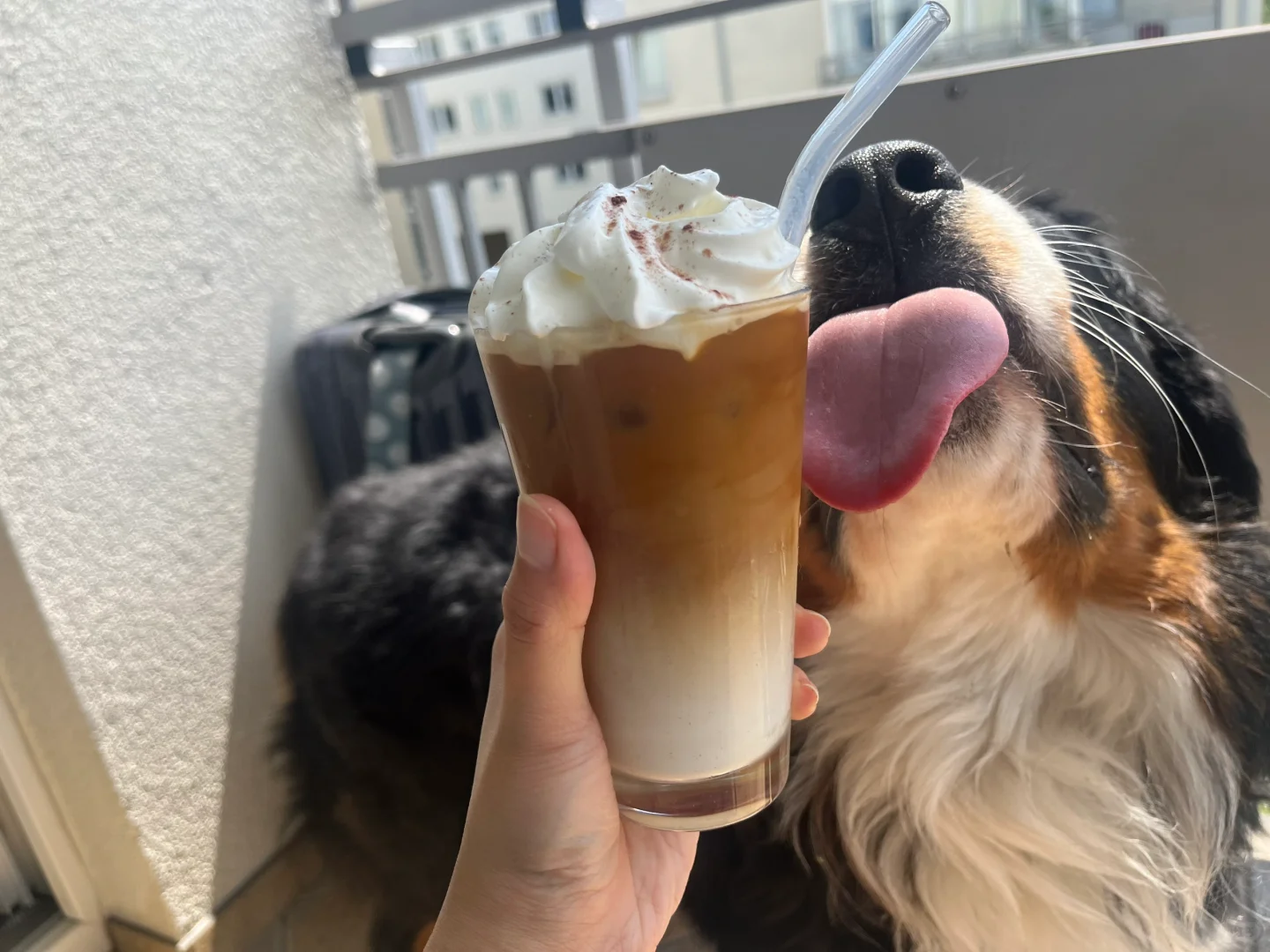 美食永远的背景不