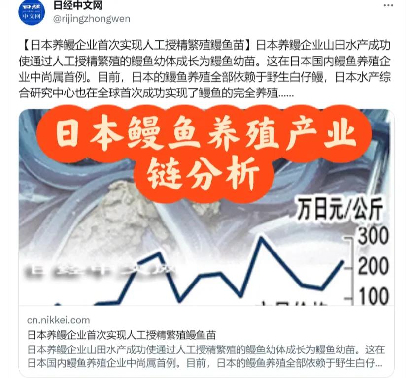 《日本鳗鱼：价格昂贵的背后》

日本鳗鱼，以其独特的口感和美味而闻名于世。然而，