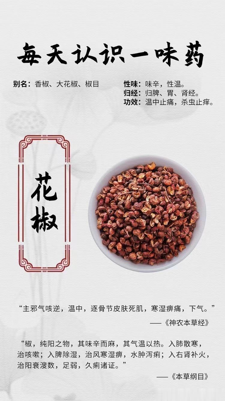 #国医的精诚力量##每天一味中草药##论道岐黄# ☘️【每天认识一味药】    