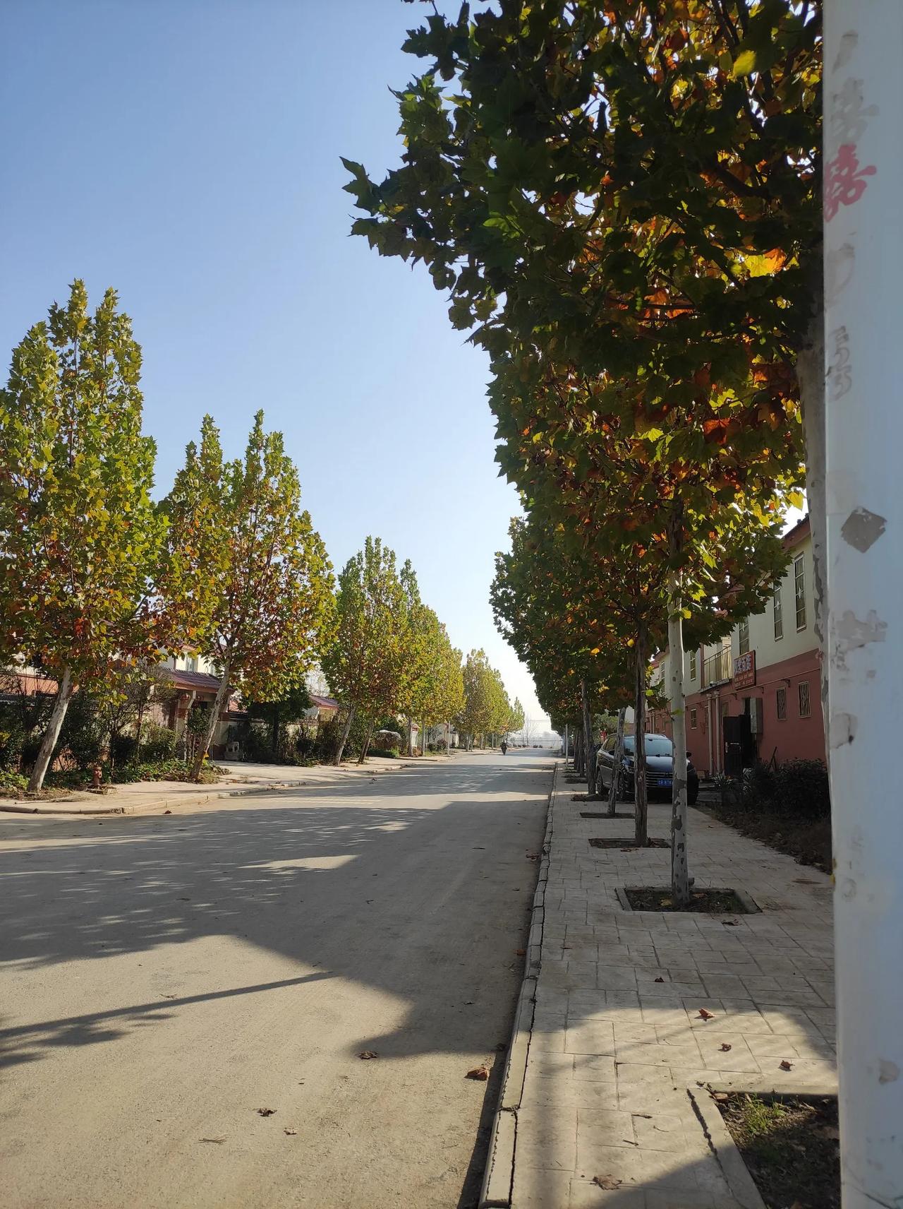 冬日生活打卡季冬天到了，也有冬日的美。