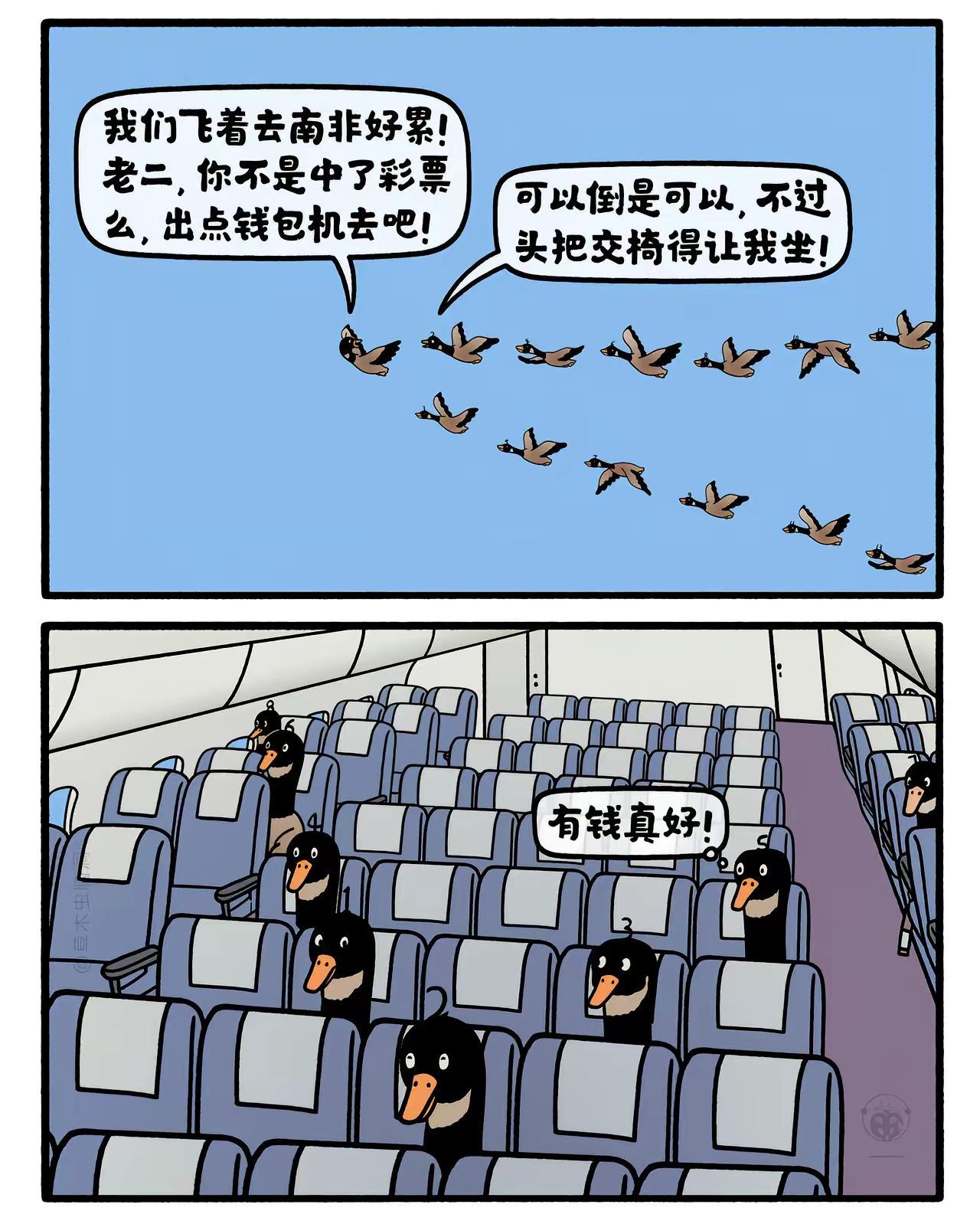 大雁往南非。嫦娥打工兔 第八五六集 一日一画