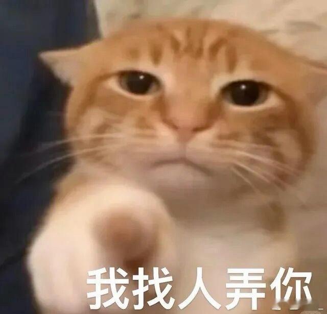 阿富汗永久禁止女性上学啊？2026年了，还能发生这样的事阿富汗妇女全面失权。真服