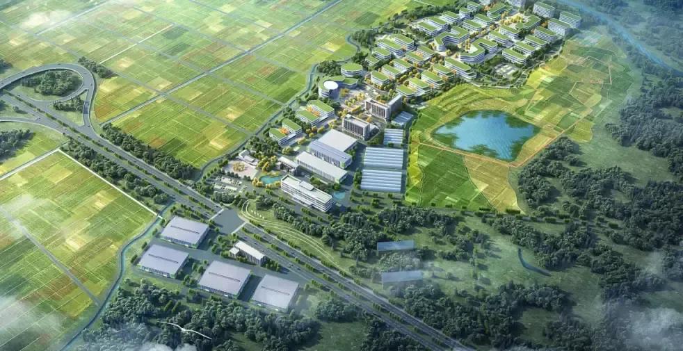 崖州湾国家实验室把分院直接搬到合肥肥西，名字听着拗口，其实就是国家级的种子研究院