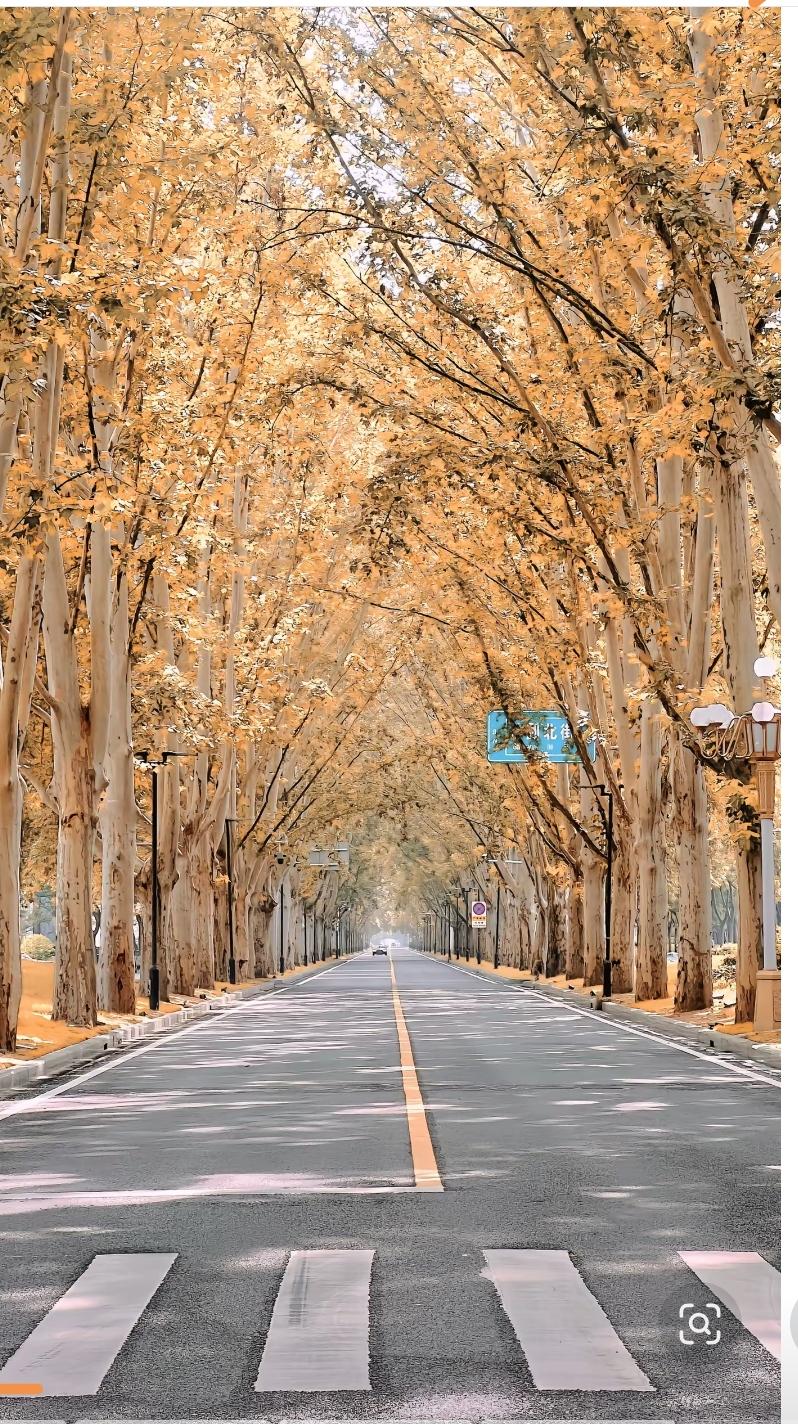 怎么才算成长？成年人最顶级的自律，是降低对别人的期待，专注提升自己，日子才会越走