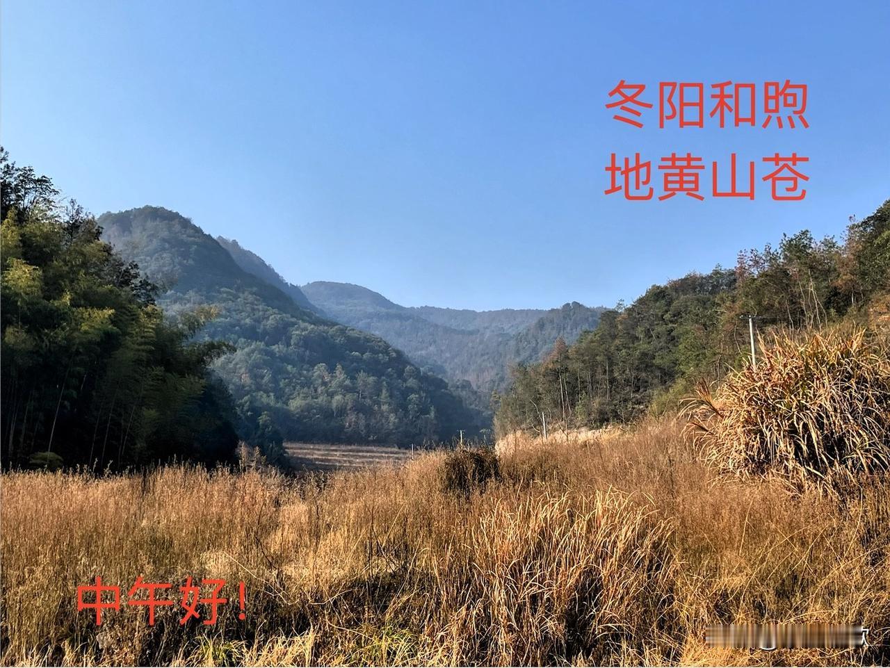 分享一下你随手拍下的照片