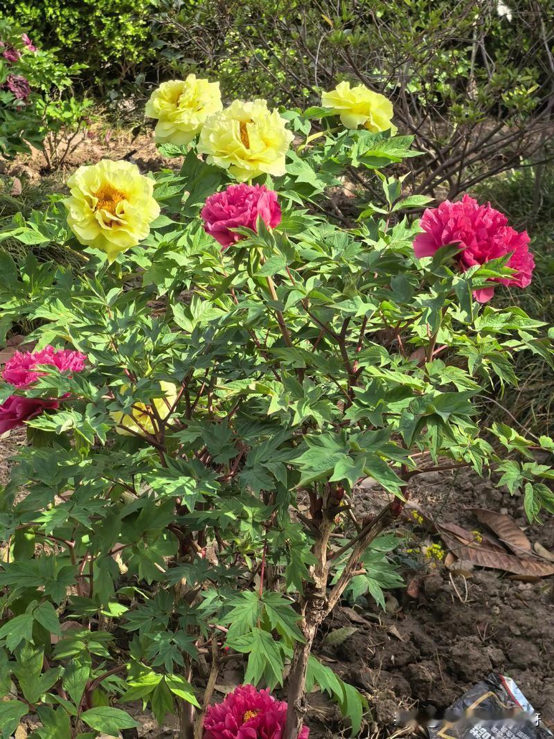 真没想到，公司竟然一次性走了两个人，快过年了很多人为什么还要辞职呢？不应该是先赚