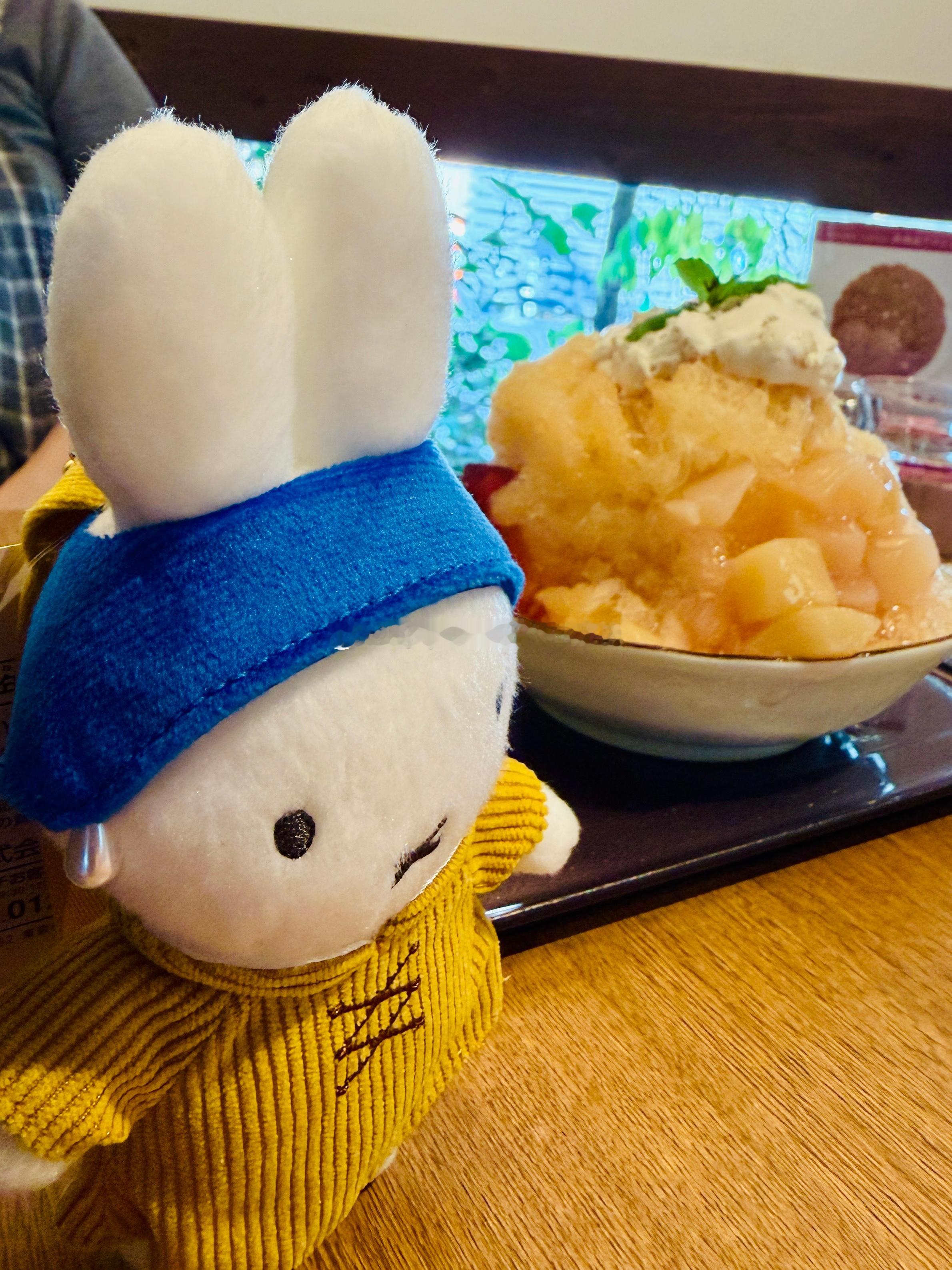 一只兔子🐰己经送走了 日本·大阪