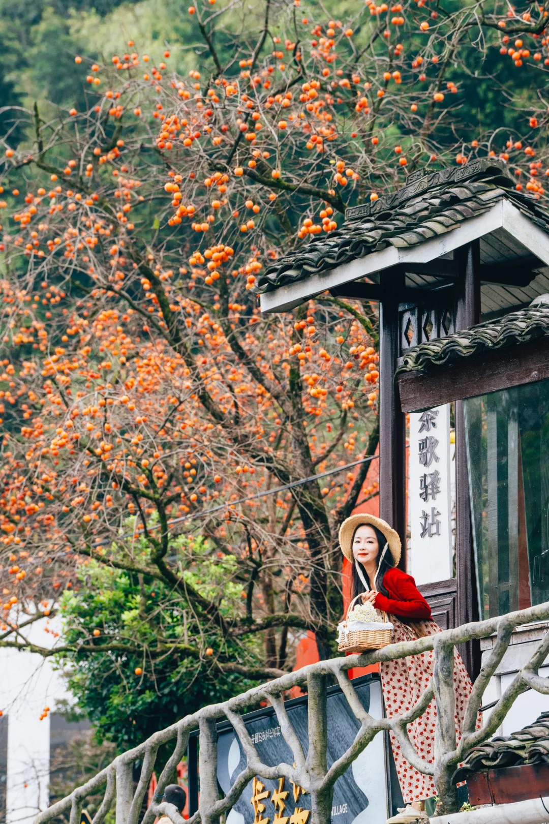 🧡初秋丰收季，愿刷到这篇的人都“柿柿如意”