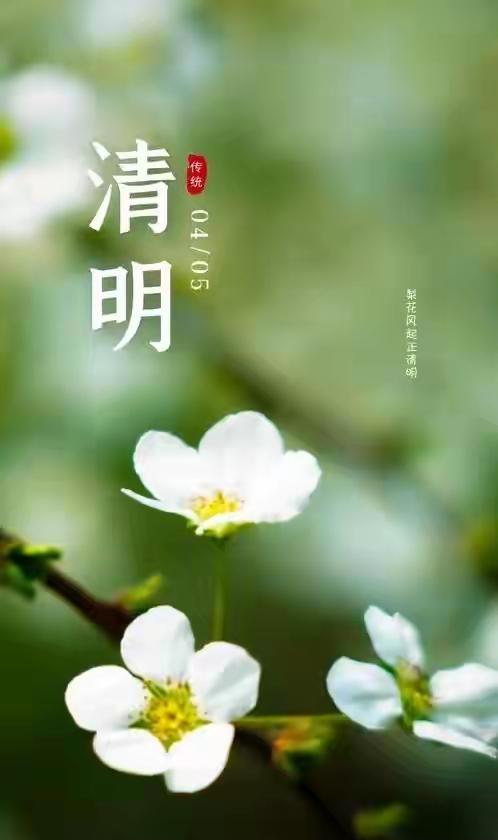 清明不忘祖，祭奠在田中。山清又水秀，春暖鸭先知。[送自己一朵花][送自己一朵花]