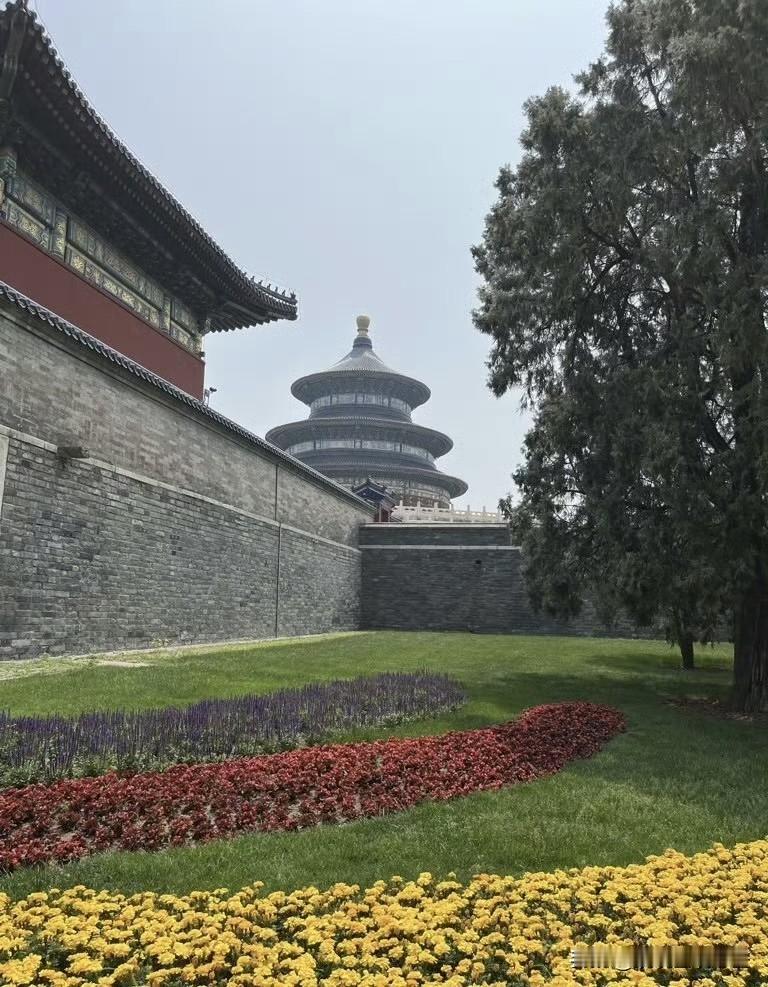 特朗普在天坛那句"谈的很好，中国很美"，听着挺有意思的！

这话虽然简短，但信息