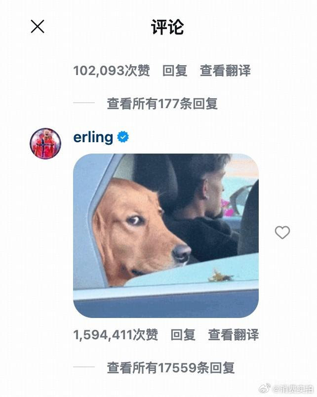 【哈兰德回应进球庆祝动作像葱，哈兰德回应葱头热梗】近日，有网友在社交媒体上，用一
