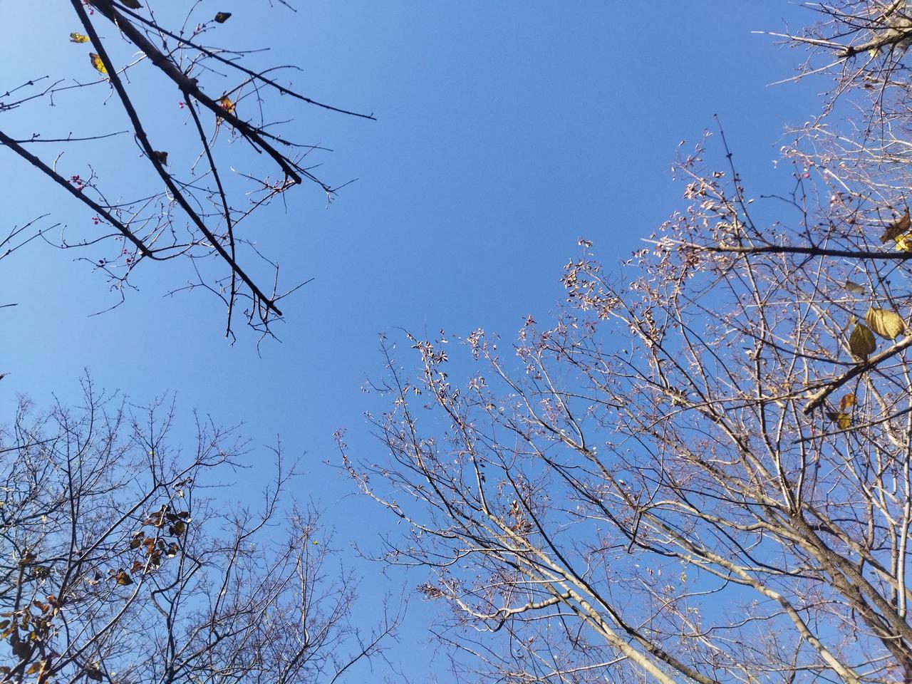 冬日生活打卡季有的人像太阳，整天暖洋洋，有的人像月亮，整天愁眉苦脸。人的悲喜各不