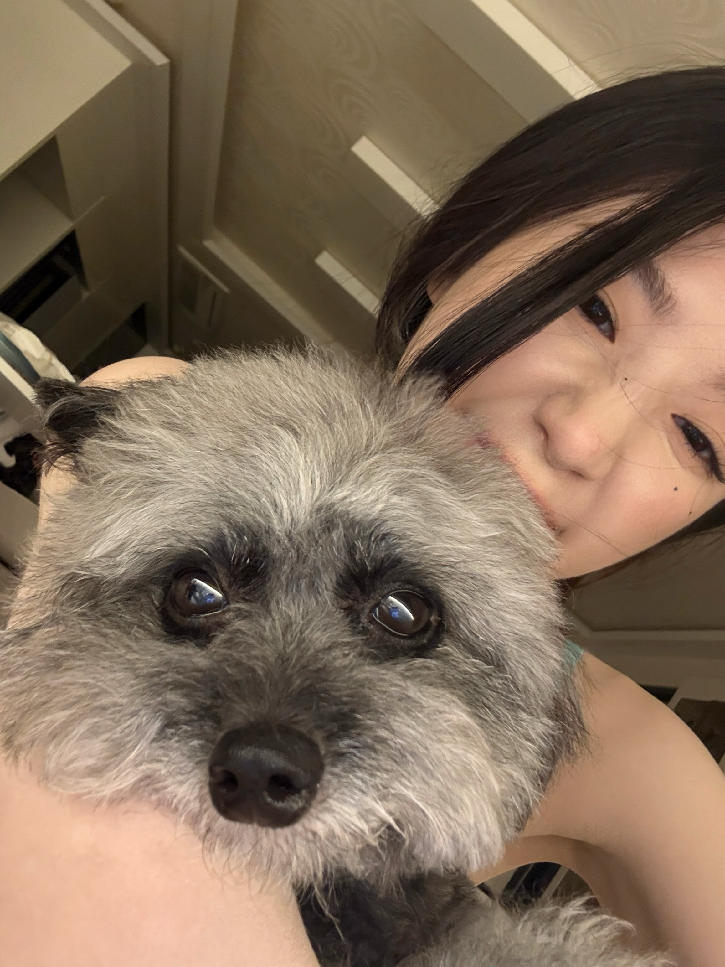 idle组合叶舒华桃园初恋🤎三十六次元少女260705 舒华家的狗王-dle 