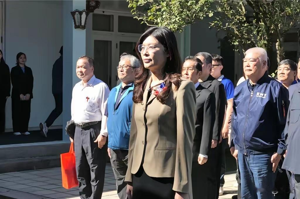 国民党党主席郑丽文越来越精明，越来越有底气，痛批民进党是台湾制度破坏者！

郑丽