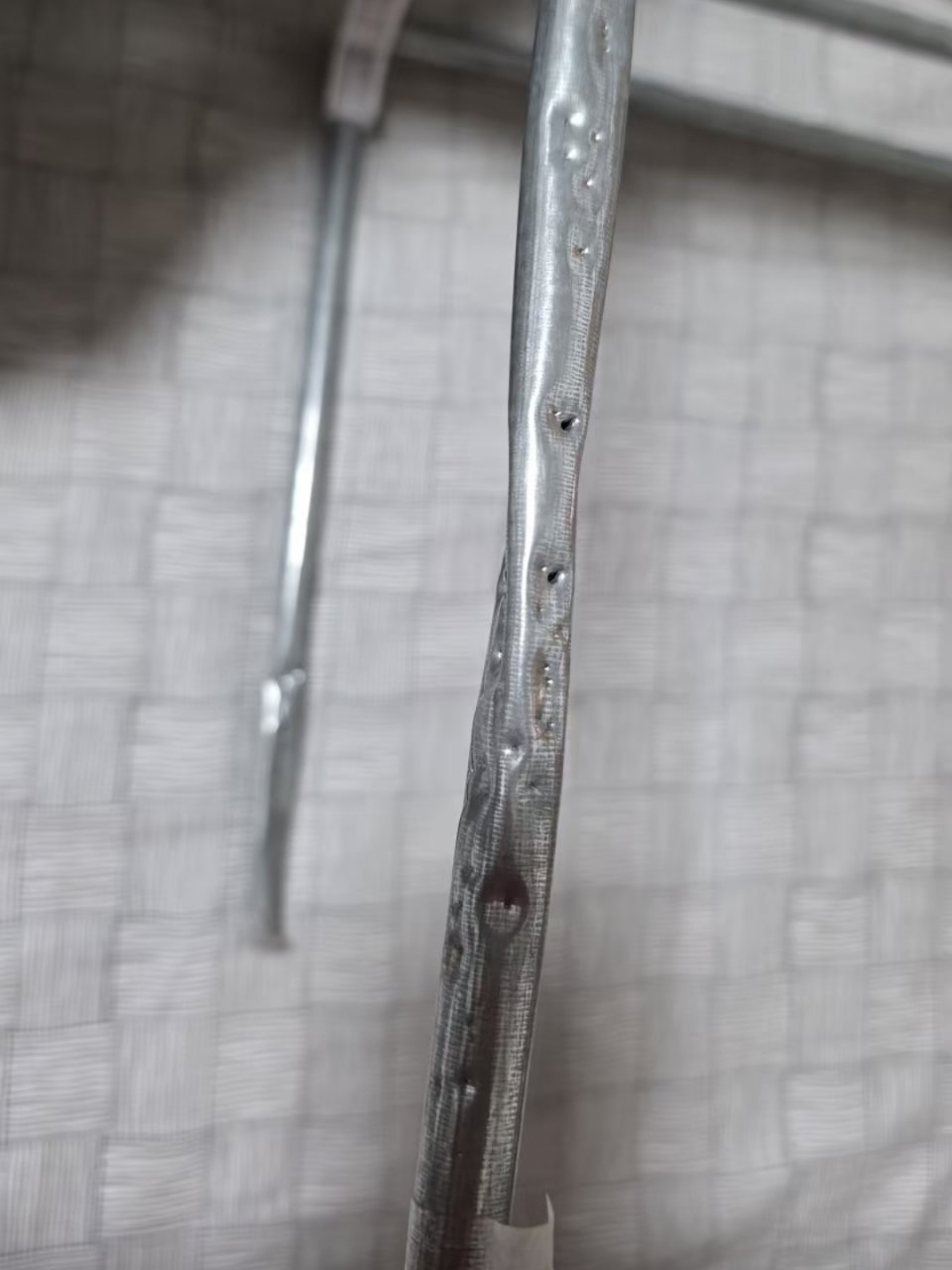 猫猫这牙口是真好啊 