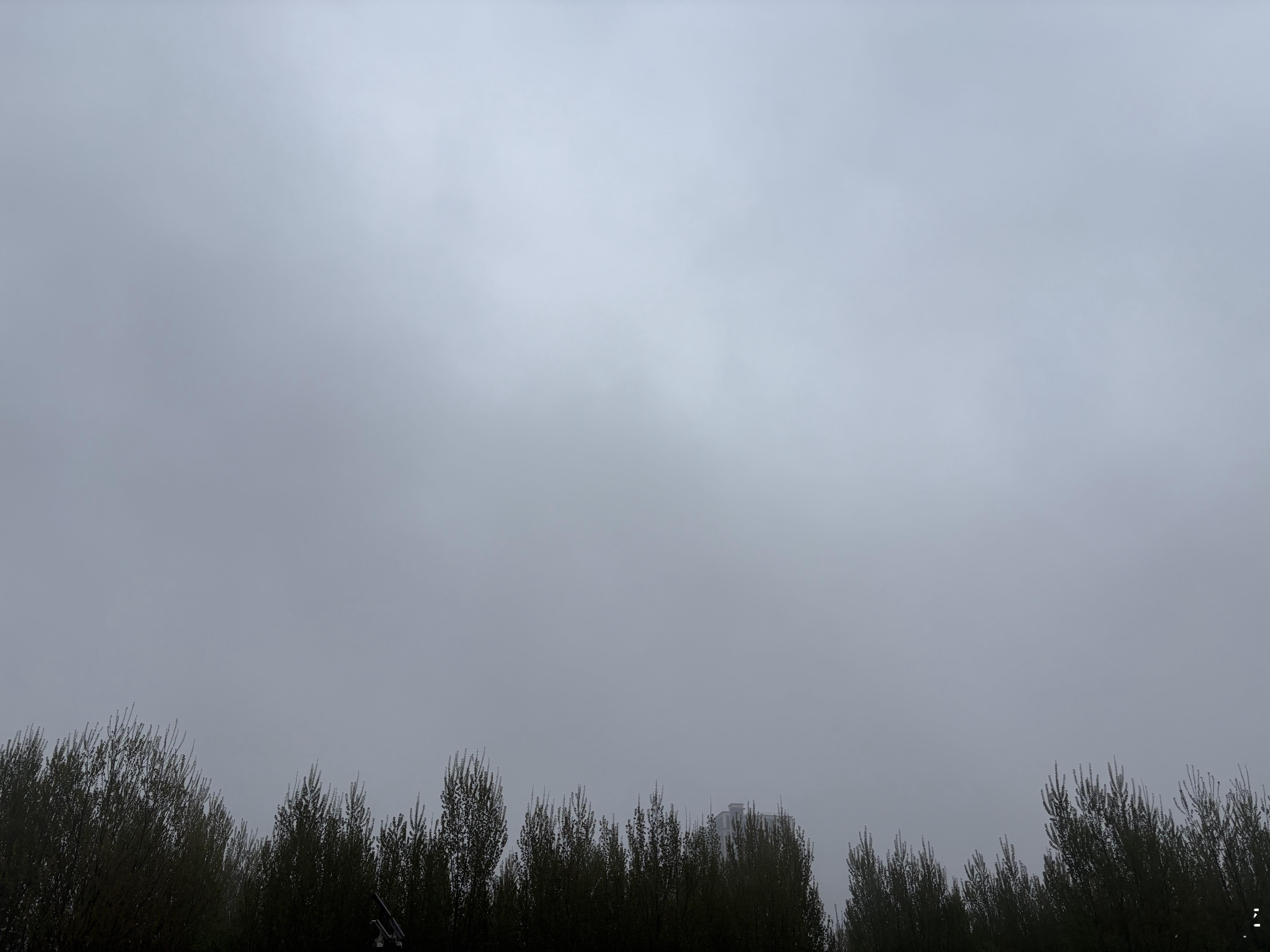 坏消息，下了一宿雨，现在还没停。好消息，前几天因为下泥脏到无法直视的车，特别干净