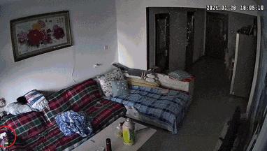 【家被烧光，损失十几万！这个习惯很多人都有！】近日，四川成都一住户因未拔充电器，