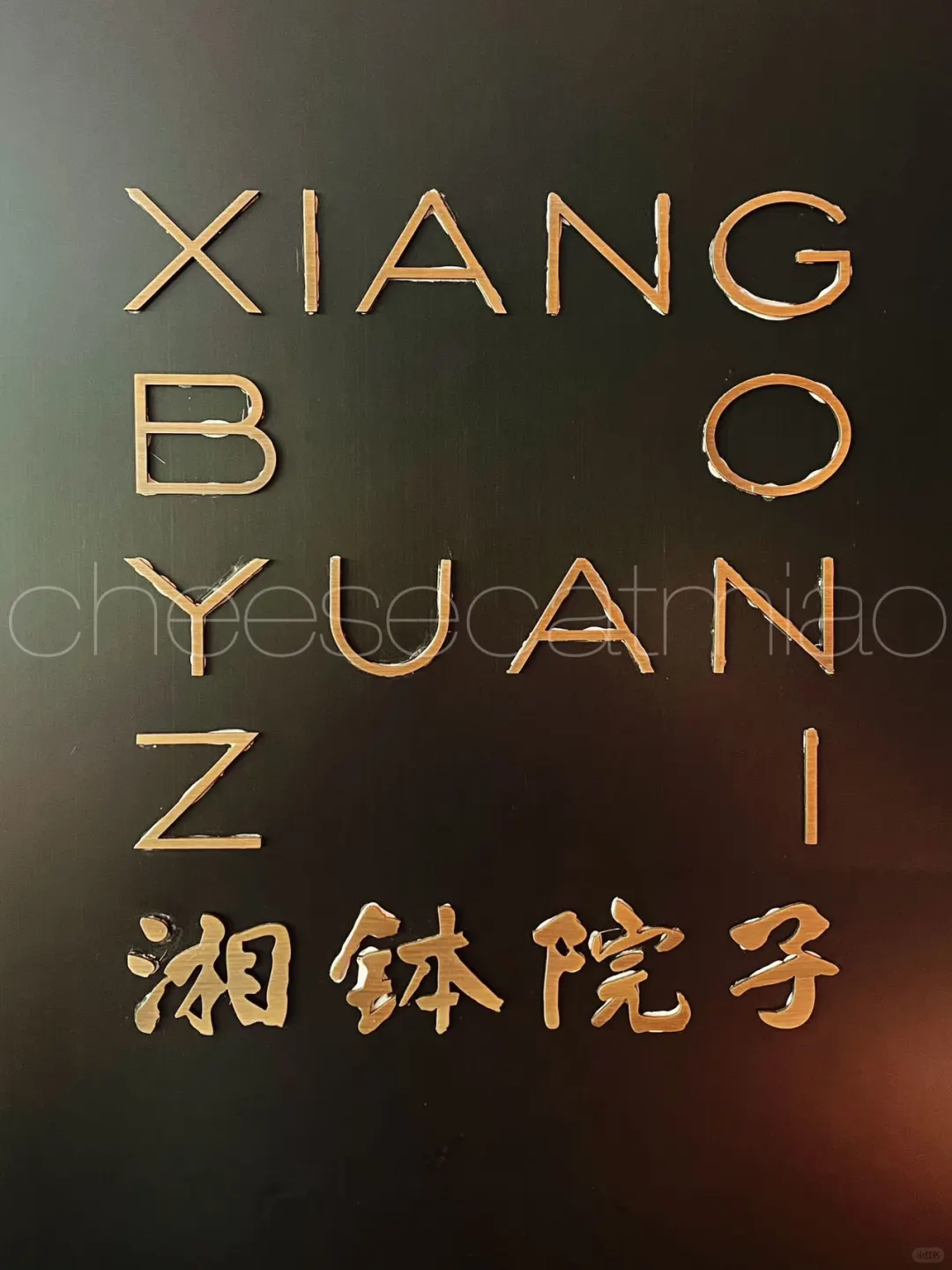🌶️大运天地超正湘菜不允许深圳人不知道
