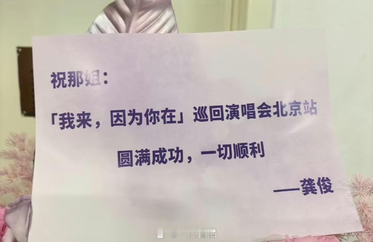 最暖心的花少大哥龚俊给那英演唱会送花篮啦七老童心给那英送花篮那英演唱会