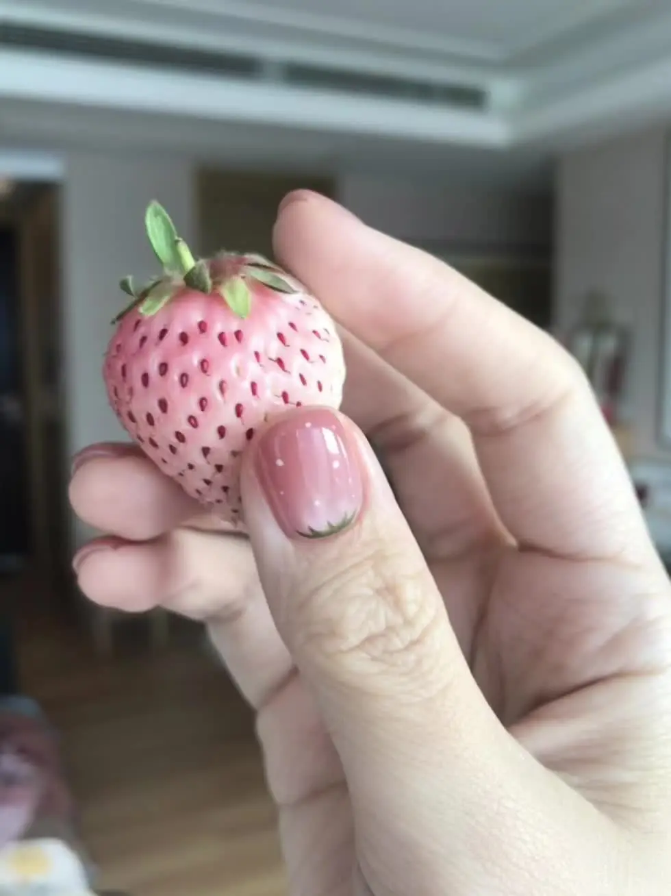 老板！我一份 双拼草莓🍓 新爪子重磅来袭！