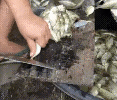 同样是小鱼，为啥饭店端上桌能香得人舔盘子，你一做全家筷子都不敢伸？
上周末我在菜
