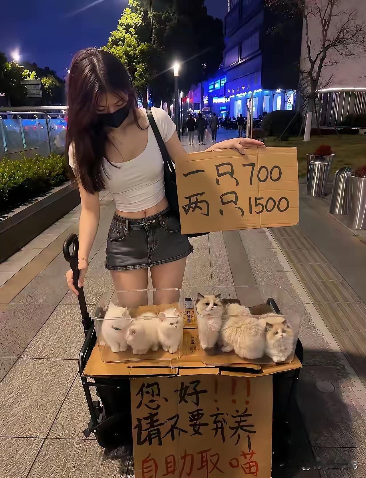 一次买一只，最划算[捂脸]