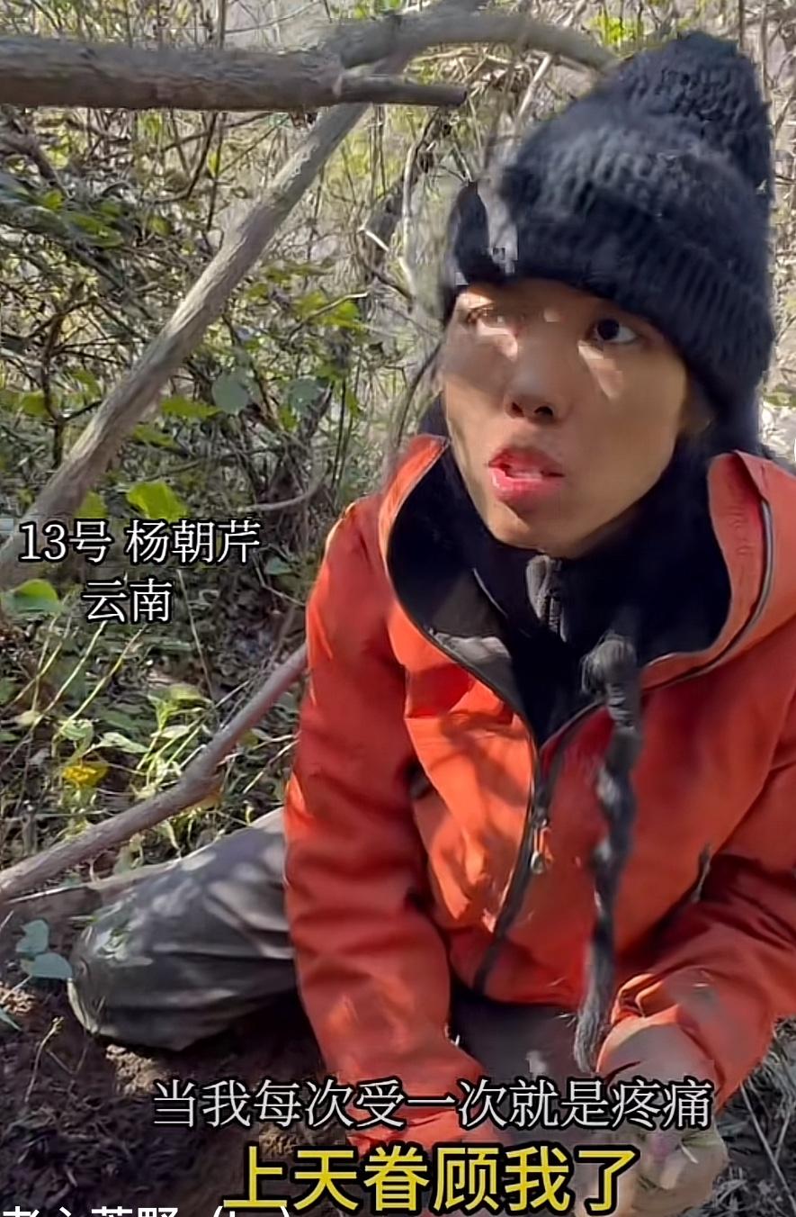 冷美人又哭了
冷美人：今天一出门就遇到十几颗山药，还有小崽崽（蛋白质）和黄精都在