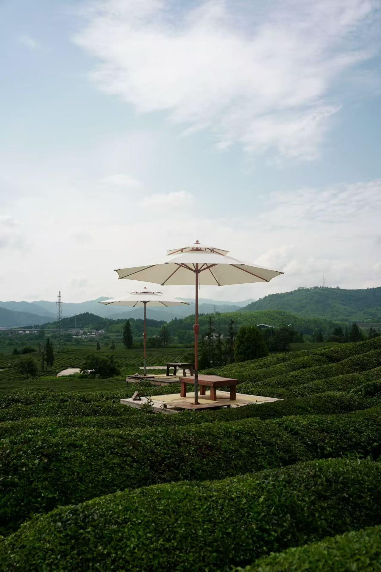 江西景德镇旅游🍃观山茶舍美景攻略！
📍景德镇观山茶舍（近寒溪村大地之灯）
?