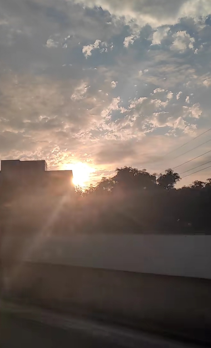 分享日常 早晨挺美的！！！不想动不想营业 