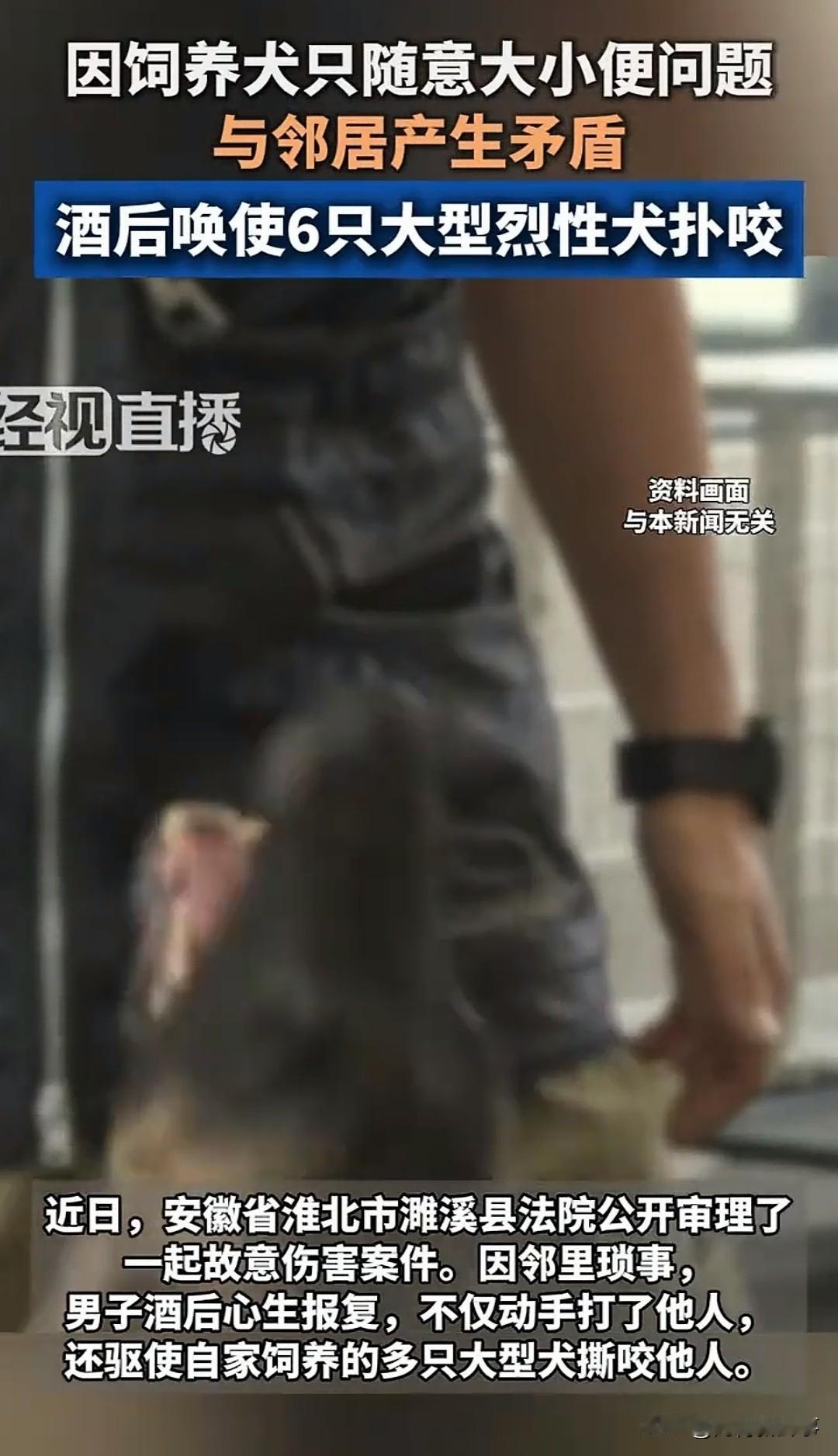 安徽濉溪一男子因犬只大小便纠纷两家积怨，酒后带6只烈性犬上门报复，先动手打人，打