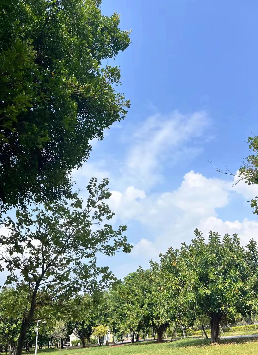 
不负春的耕耘，夏的拼搏 ，秋的欢歌[太阳]
今日份快乐正常营业吖