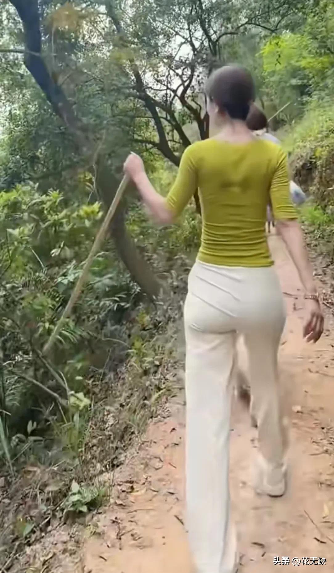 爬山有益健康。