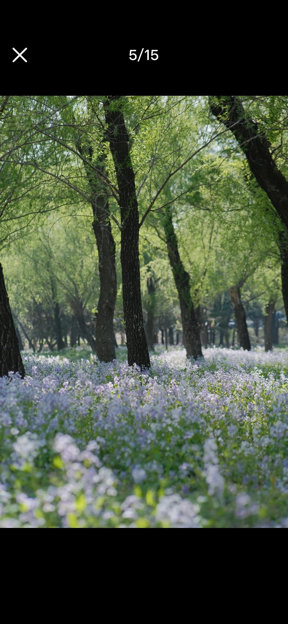 “北京房价没有横盘，只有涨与跌”，你认同这个说法吗？

有人说，北京房价现在是“