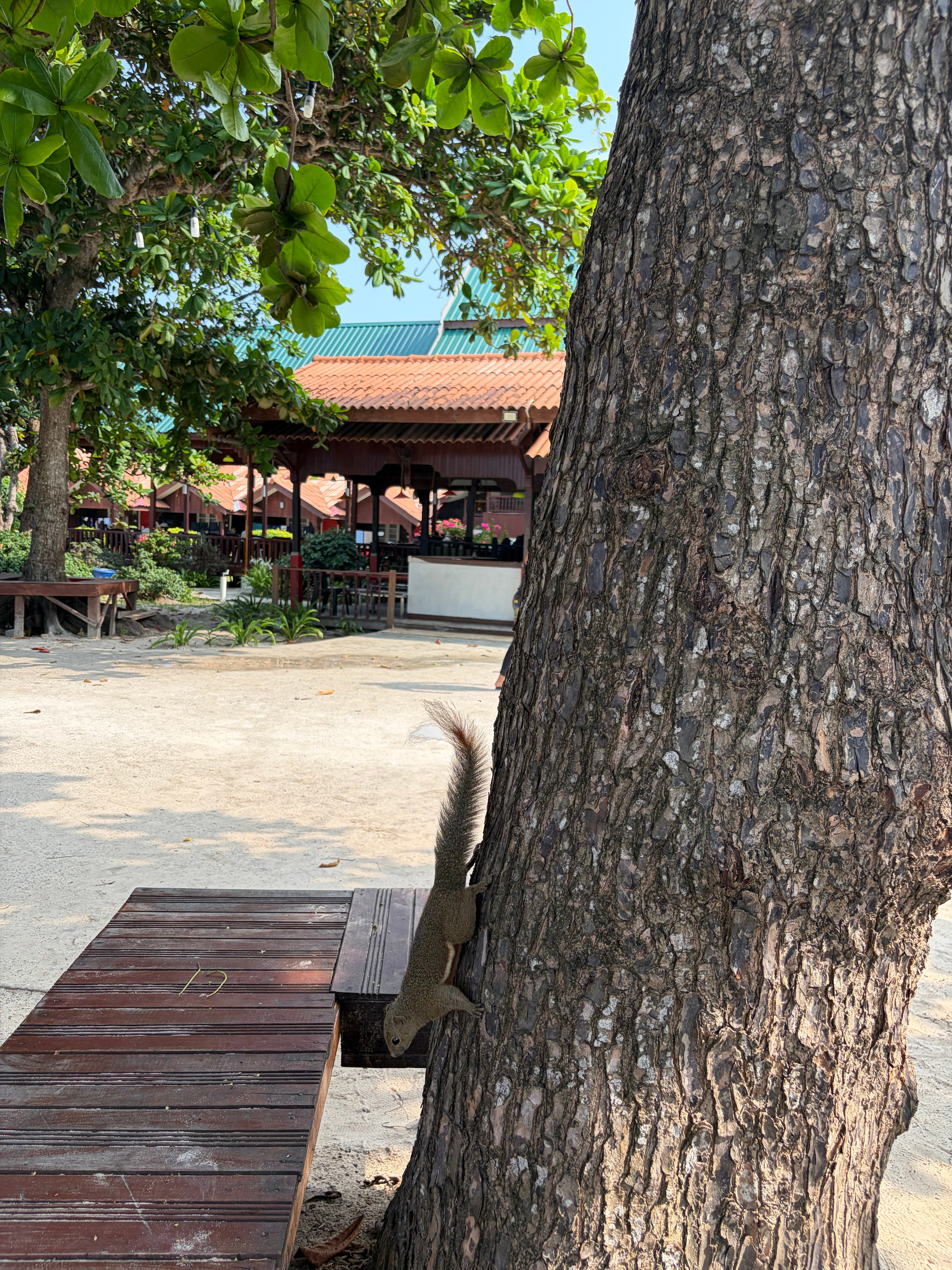 打卡马来西亚热浪岛欢迎来到阳澄湖热浪岛长岛分湖刚出航的时候我真以为这就是阳澄湖，
