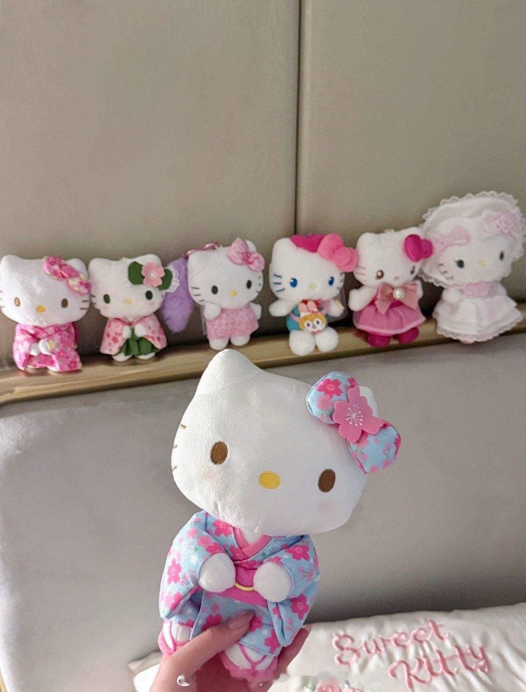 ≽^• ˕ • ྀི≼ ੭ 