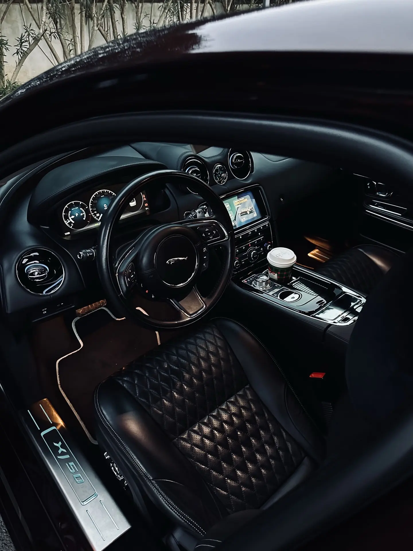 独爱这份优雅。