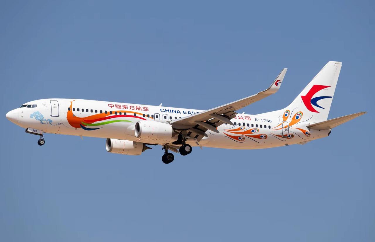 孔雀东南飞 入山不再归。东航 Mu5735 3.21 空难 4 年祭We are