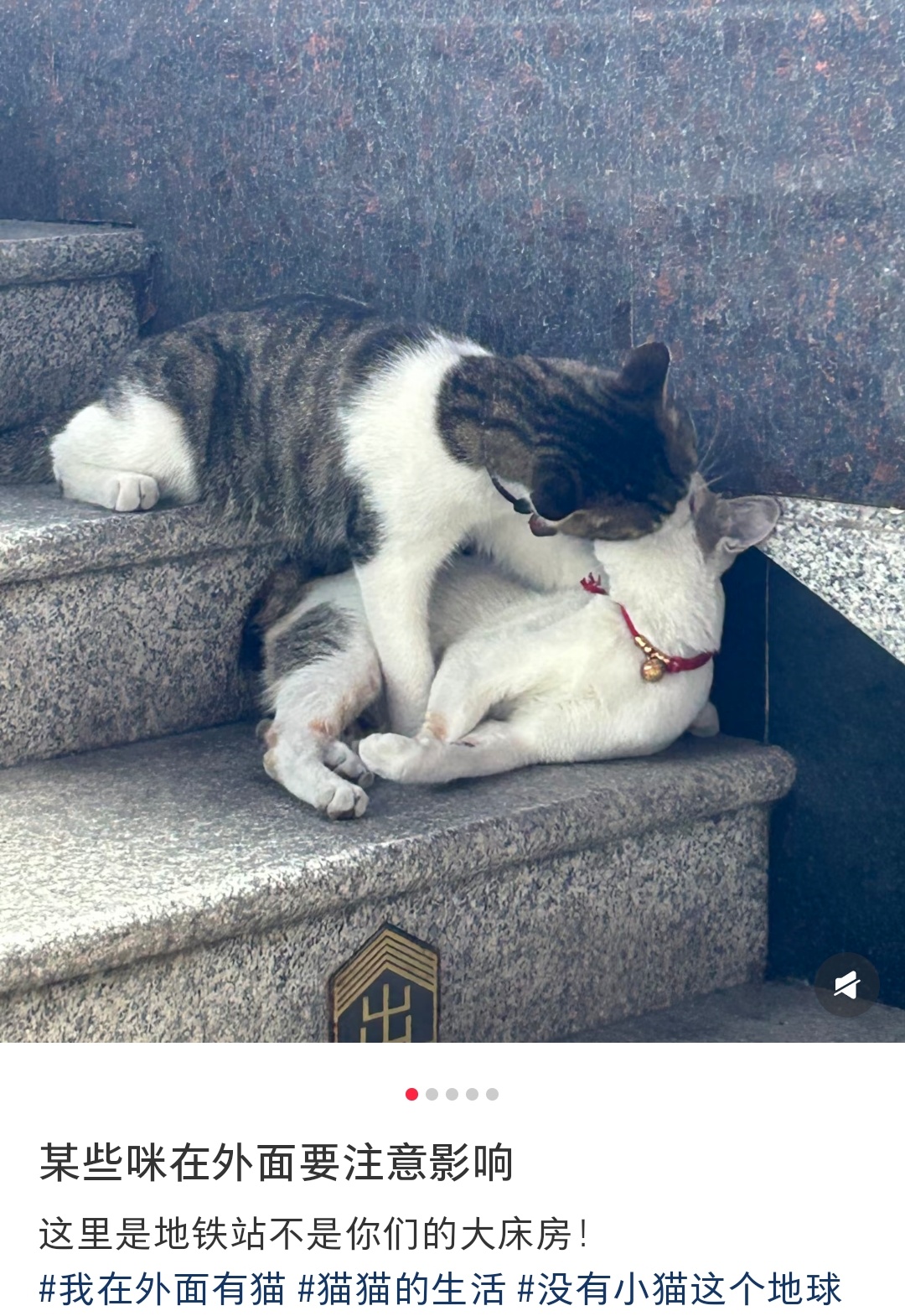 大庭广众的