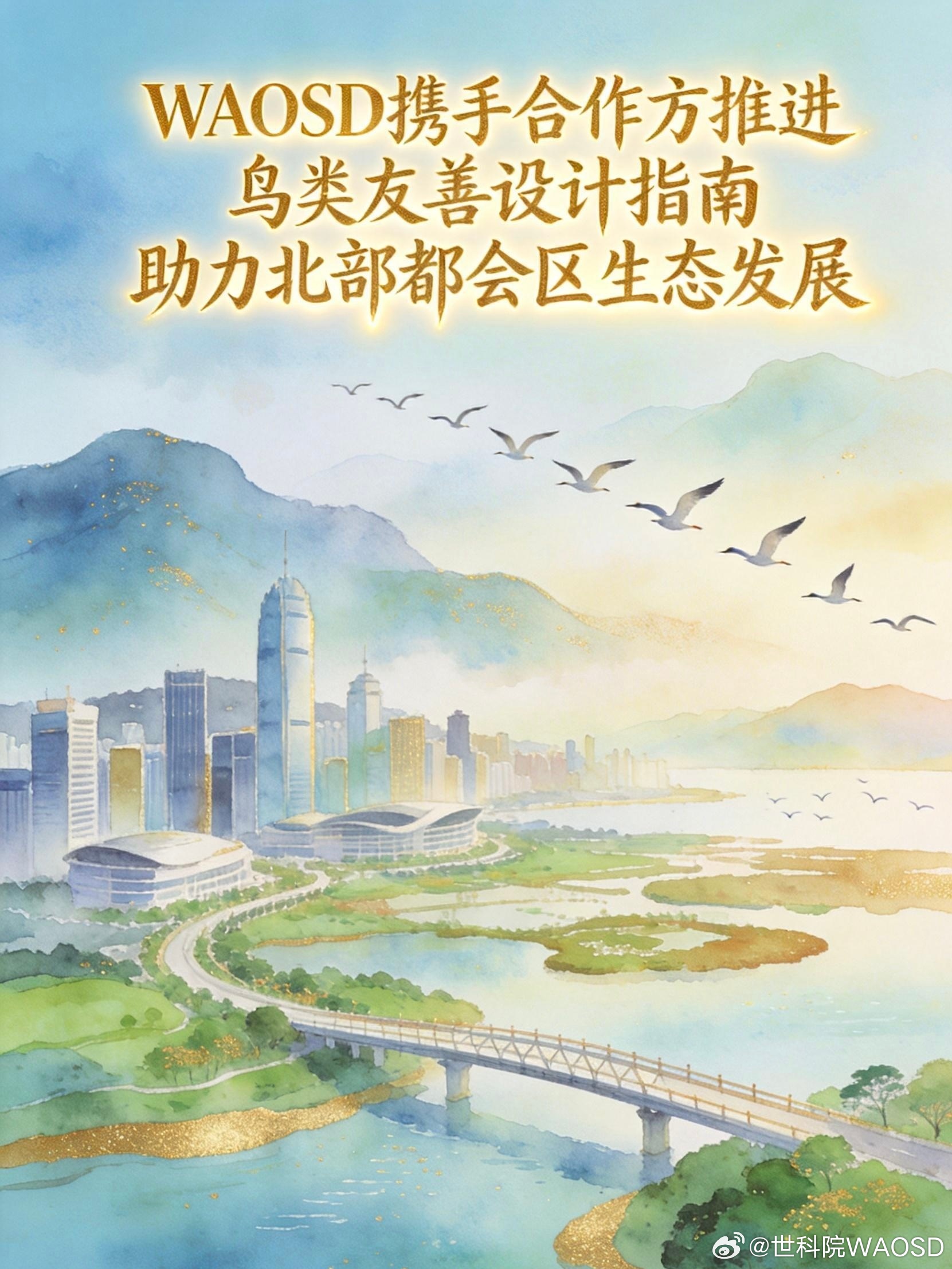 给鸟儿让路！这份路桥设计“新规”，让基建不再成为鸟类的“空中障碍”7月10日上午