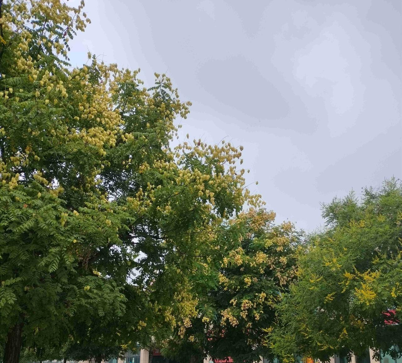 我的今日状态：😁轻松愉快
我这里的天气：☀️晴天