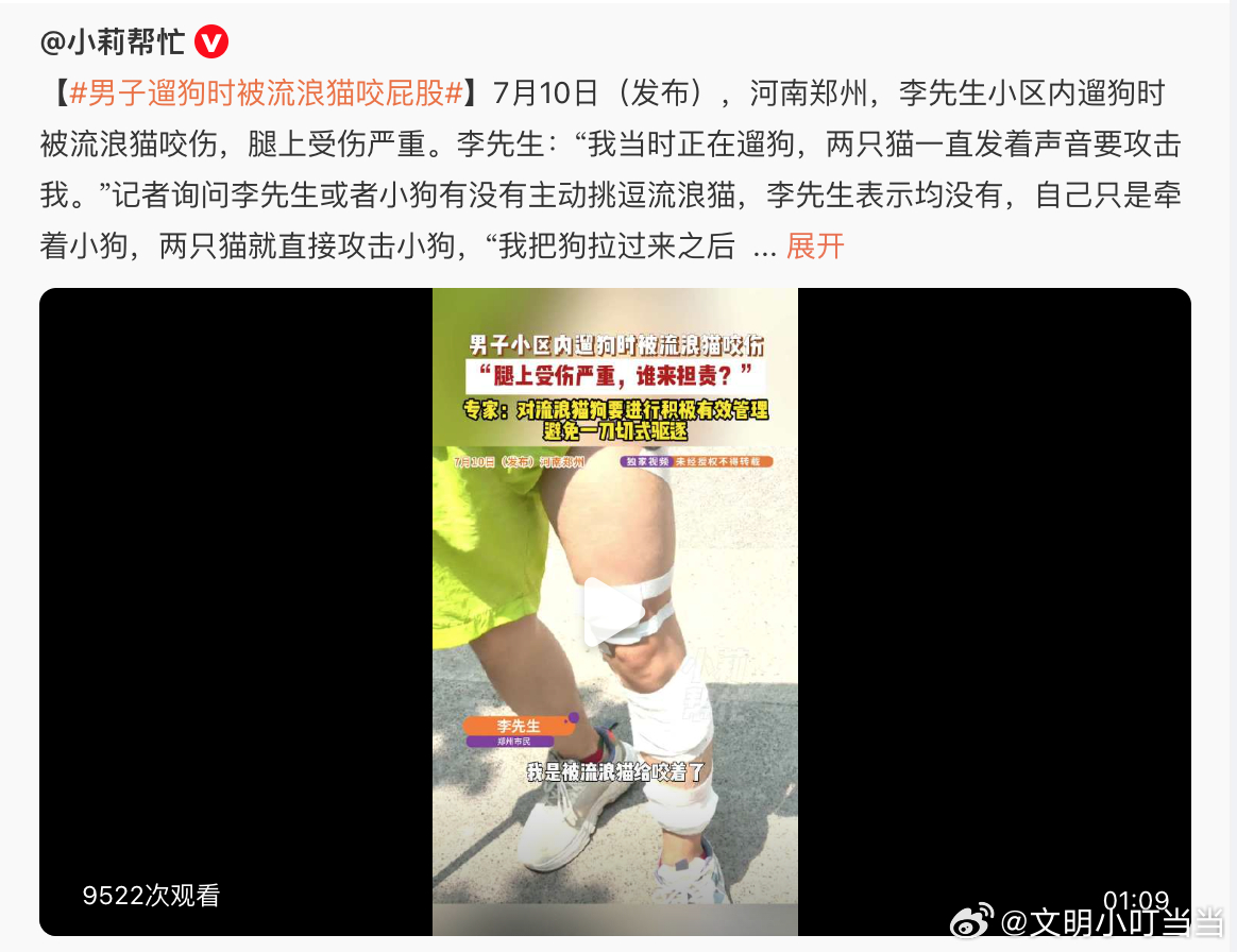 多方回应3名男孩虐猫致死 水军真多，来，有没有为伤者发声的？流浪猫伤人，为猫犬发