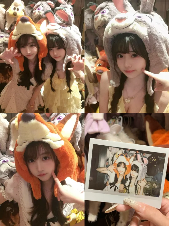 来迪士尼就为了这一张🦊🐰网感陪拍