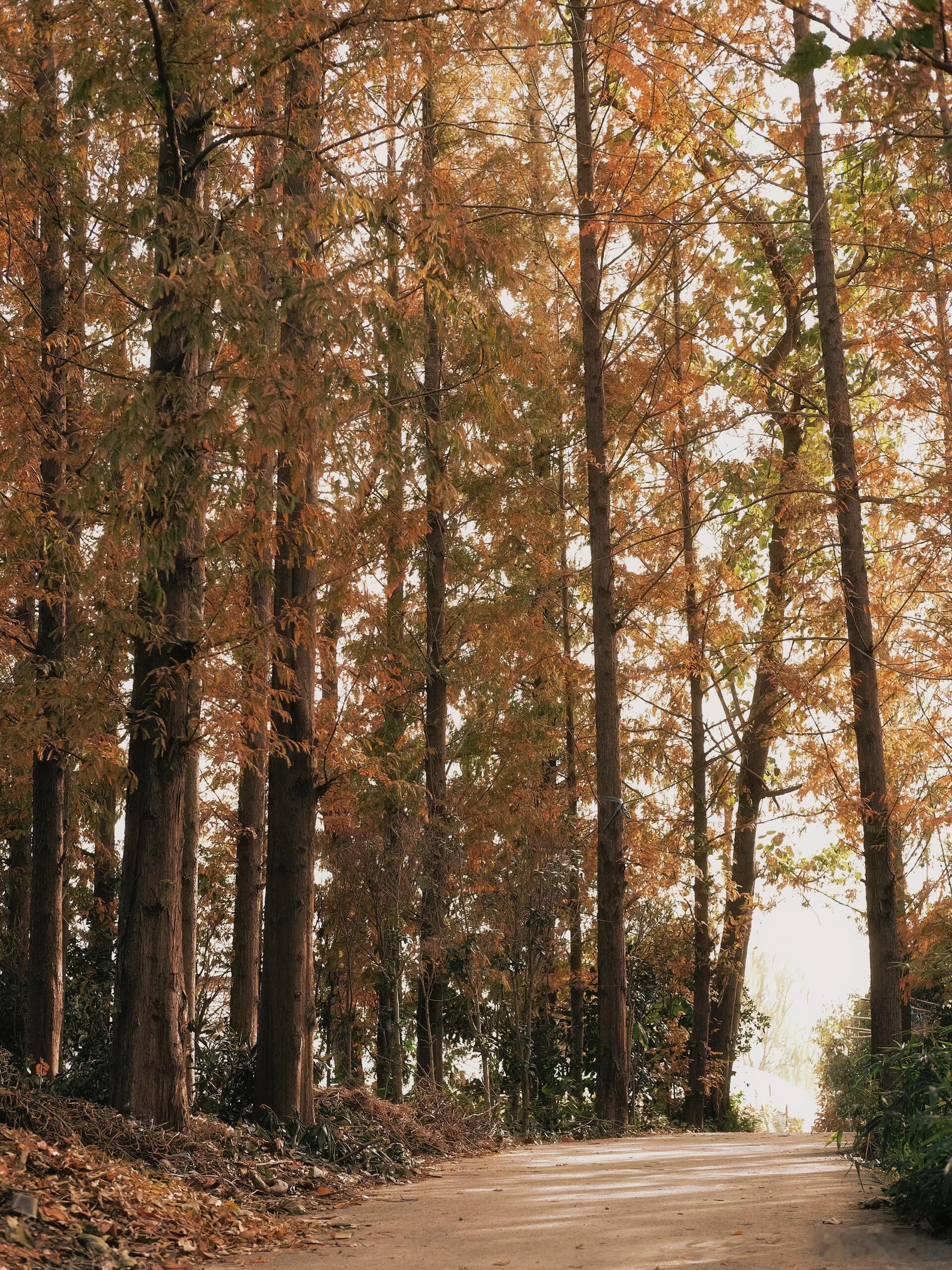 生活里，你稍微显得落魄、犹豫、露了怯，周围一些你看不见的势利就开始悄悄运作。人生
