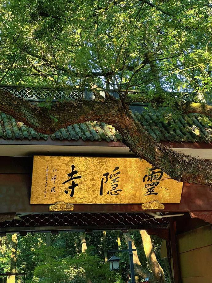 刷到灵隐寺不要无视  很灵的🙏 