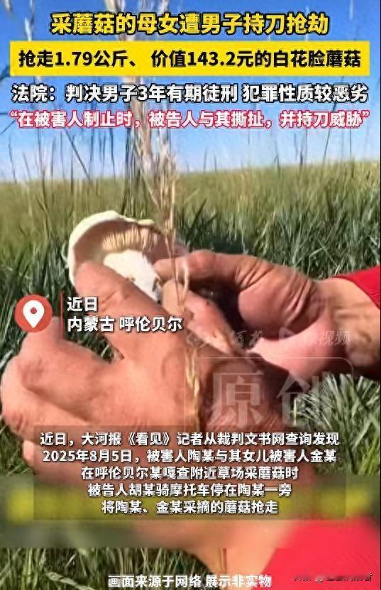 呼伦贝尔采菇遇抢夺，刀光下143元成焦点，三年刑期引争议
 
呼伦贝尔草原上，一