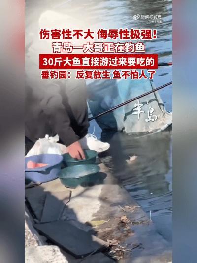 奇了！青岛30斤大鱼主动“讨饭”，钓鱼大哥这反应绝了！
 
11月2日，山东青岛